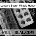 Leopard Secret Miracle Honey 40